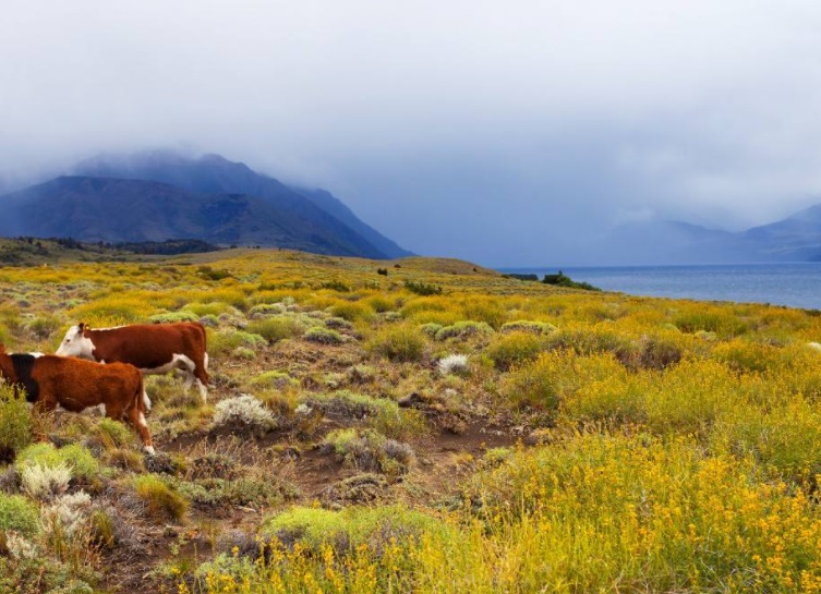 计算机科学与技术论文题目怎么写 计算机科学与技术论文题目怎么写