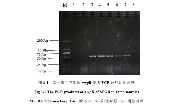 医学论文怎么写