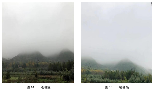 艺术论文参考