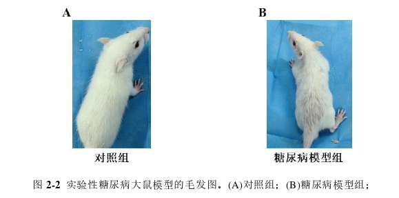 医学论文参考